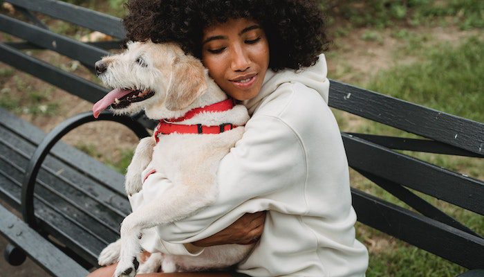 dog, lady, bench, park, happy, hug, dog hug, mental health